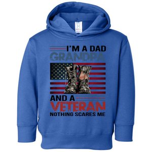 Im A Dad Grandpa And Veteran Fathers Day Papa Grandpa Gift Toddler Hoodie