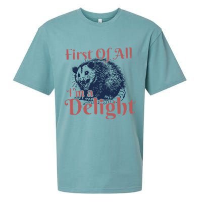 IM A Delight First Of All Vintage Possum Sueded Cloud Jersey T-Shirt