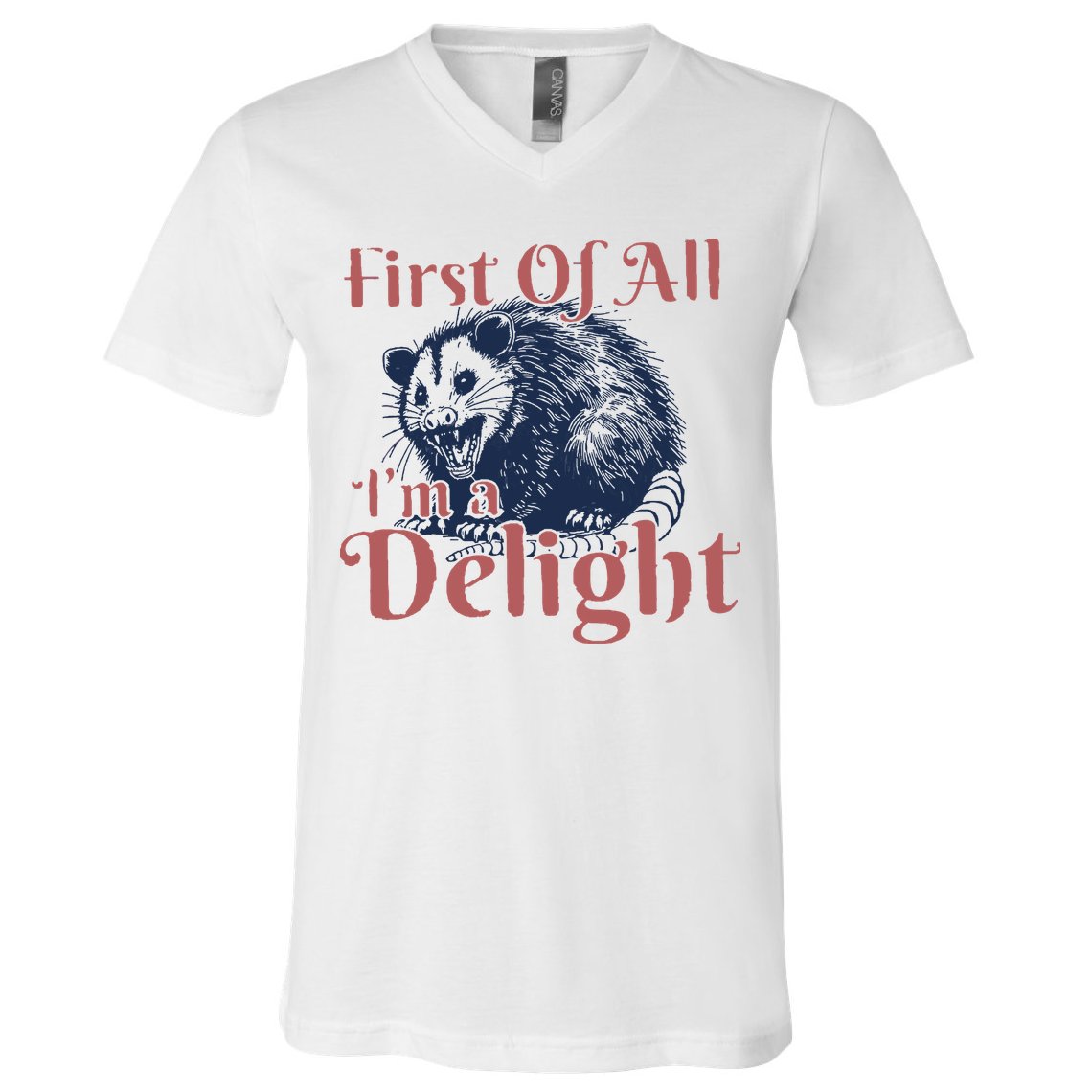 IM A Delight First Of All Vintage Possum V-Neck T-Shirt