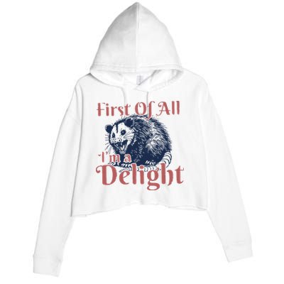IM A Delight First Of All Vintage Possum Crop Fleece Hoodie