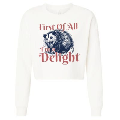 IM A Delight First Of All Vintage Possum Cropped Pullover Crew
