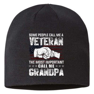 I'm A Dad Grandpa And Veteran Funny Retro For Papa Sustainable Beanie