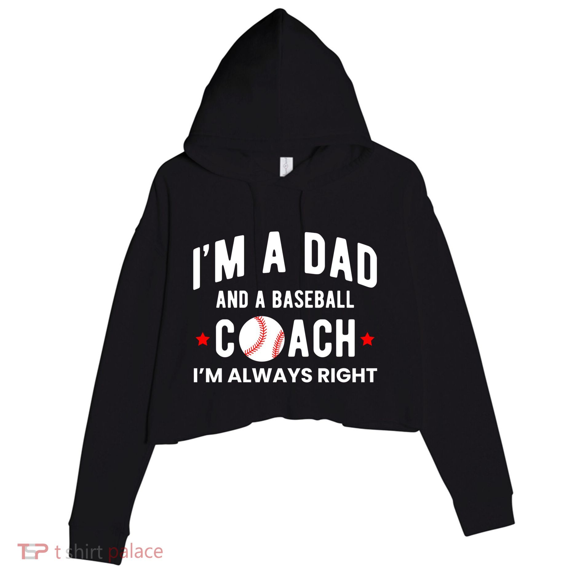 Im A Dad And A Baseball Coach Im Always Right Gift Crop Fleece Hoodie