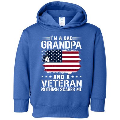 IM A Dad Grandpa And A Veteran Nothing Scares Me Toddler Hoodie