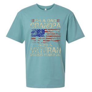 IM A Dad Grandpa And Veteran Sueded Cloud Jersey T-Shirt