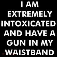 I Am Extremely Intoxicated And Have A Gun In My Waistband Toddler T-Shirt