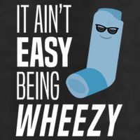 It AinT Easy Being Wheezy Funny Asthma Inhaler Joke 7 Panel Mesh Trucker Snapback Hat