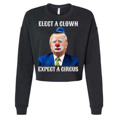 Impeach Antitrump Elect A Clown Expect A Circus Cropped Pullover Crew