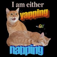 I Am Either Yapping Or Napping Drawstring Bag