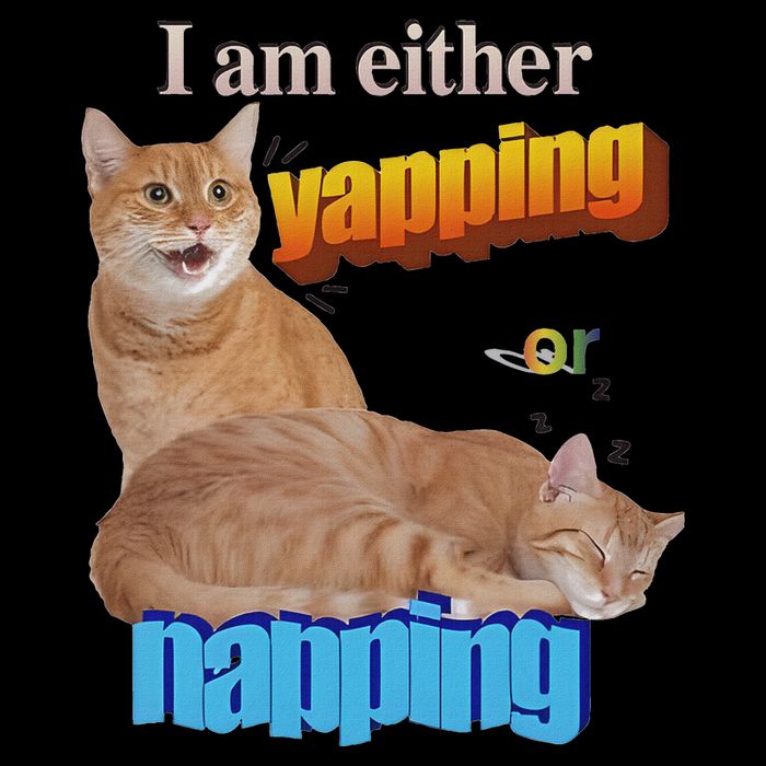 I Am Either Yapping Or Napping Mousepad