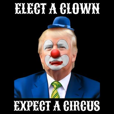 Impeach Anti-Trump Elect A Clown Expect A Circus Fun Gift T-Shirt