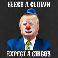 Impeach Anti-Trump Elect A Clown Expect A Circus Fun Gift 11oz C Handle Ceramic Mug
