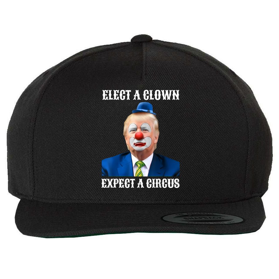 Impeach Anti-Trump Elect A Clown Expect A Circus Fun Gift Wool Snapback Cap