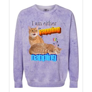 I Am Either Yapping Napping Cute Cat Colorblast Crewneck Sweatshirt