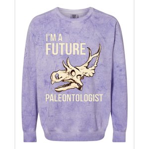 IM A Future Paleontologist Dinosaur Fossil Enthusiast Colorblast Crewneck Sweatshirt