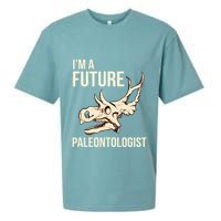 IM A Future Paleontologist Dinosaur Fossil Enthusiast Sueded Cloud Jersey T-Shirt