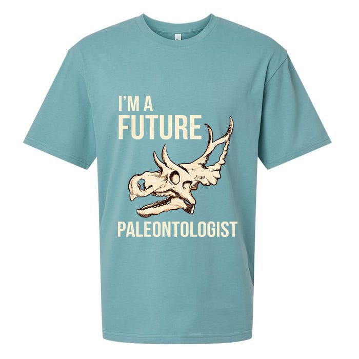 IM A Future Paleontologist Dinosaur Fossil Enthusiast Sueded Cloud Jersey T-Shirt