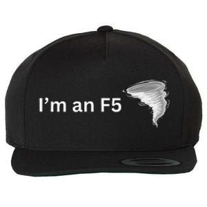 IM An F5 Tornado Humor Funny Feisty Wool Snapback Cap