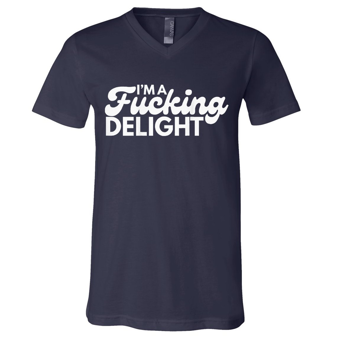 I'm A Fucking Delight Funny Sarcasm (on back) V-Neck T-Shirt