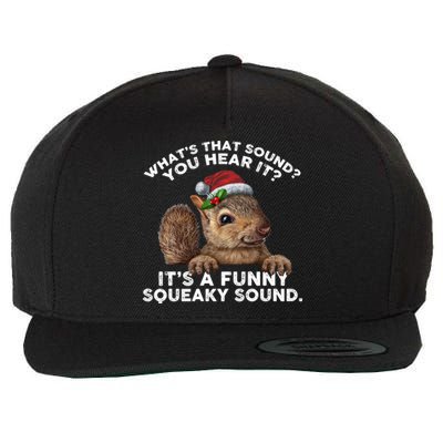 ItS A Funny Squeaky Sound Gift Funny Christmas Squirrel Cool Gift Wool Snapback Cap