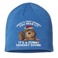 ItS A Funny Squeaky Sound Gift Funny Christmas Squirrel Cool Gift Sustainable Beanie