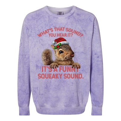 ItS A Funny Squeaky Sound Christmas Squirrel Colorblast Crewneck Sweatshirt