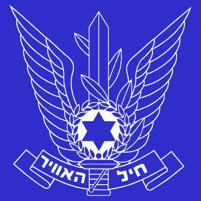 Israeli Air Force IDF Israel Pilot Military  Bag