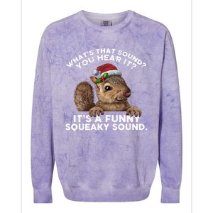 ItS A Funny Squeaky Sound Funny Gift Funny Christmas Squirrel Gift Colorblast Crewneck Sweatshirt