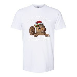 ItS A Funny Squeaky Sound Funny Gift Funny Christmas Squirrel Gift Softstyle CVC T-Shirt