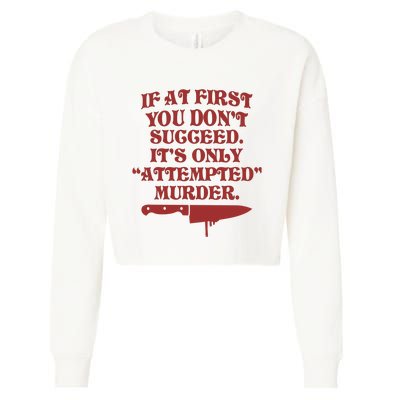 If At First You Don't Succeed It's Only Attempted Murder Cropped Pullover Crew