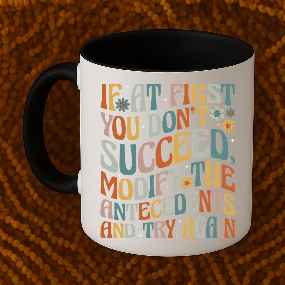 If At First You Dont Succeed Behavior Teacher ABA Therapist Mug
