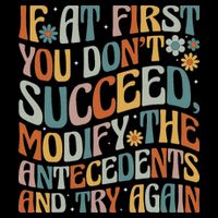 If At First You Dont Succeed Behavior Teacher ABA Therapist Visor