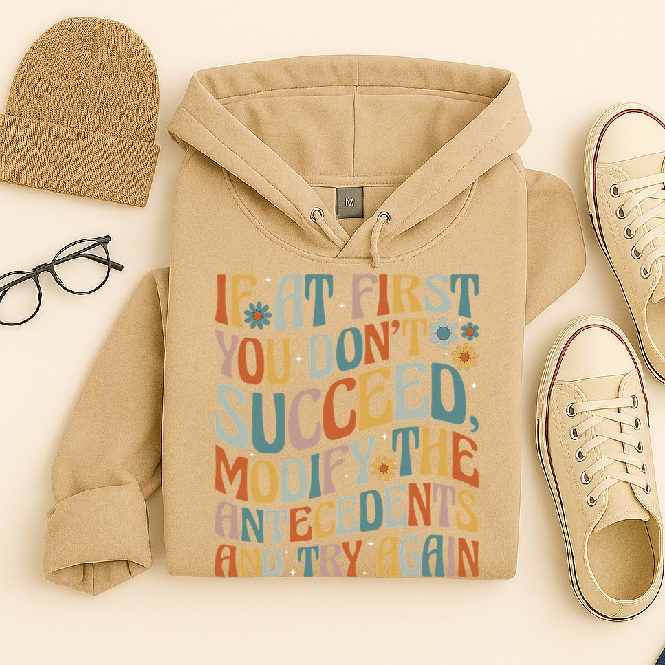 If At First You Dont Succeed Behavior Teacher ABA Therapist Hoodie