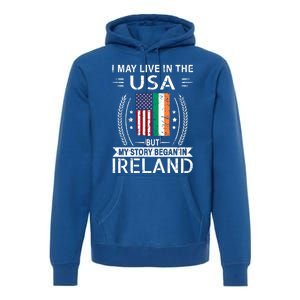 Irish American Flag Gift Meaningful Gift My Story Began In Ireland Premium Hoodie