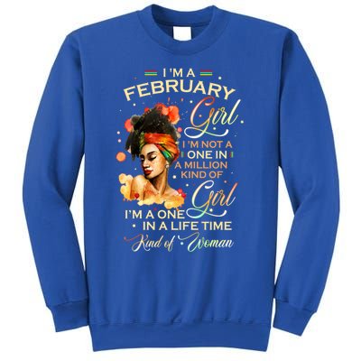 Im A February Black Aquarius Birthday Funny Gift Meaningful Gift Sweatshirt