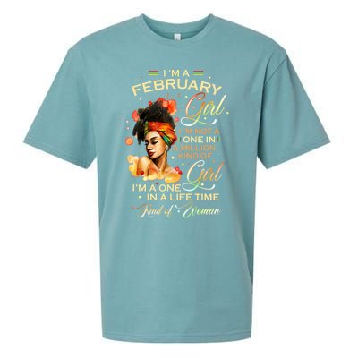 Im A February Black Aquarius Birthday Funny Gift Meaningful Gift Sueded Cloud Jersey T-Shirt