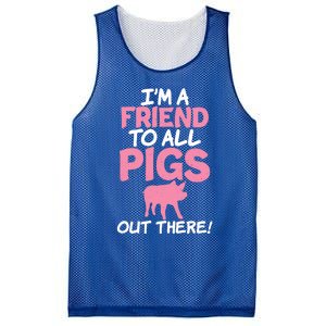 Im A Friend To All Pigs Out There Pig Owner Pig Farmer Gift Mesh Reversible Basketball Jersey Tank