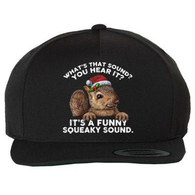 ItS A Funny Squeaky Sound Meaningful Gift Funny Christmas Squirrel Gift Wool Snapback Cap