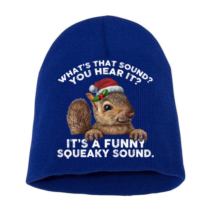 ItS A Funny Squeaky Sound Meaningful Gift Funny Christmas Squirrel Gift Short Acrylic Beanie