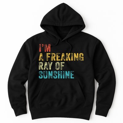 IM A Freaking Ray Of Sunshine Funny Sarcastic Hoodie