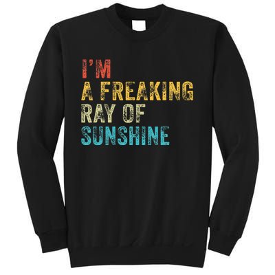 IM A Freaking Ray Of Sunshine Funny Sarcastic Sweatshirt