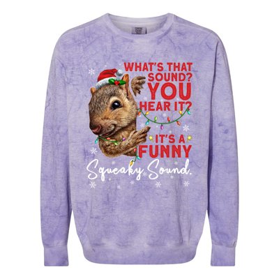 ItS A Funny Squeaky Sound Gift Christmas Squirrel Gift Colorblast Crewneck Sweatshirt