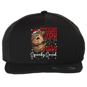 ItS A Funny Squeaky Sound Gift Christmas Squirrel Gift Wool Snapback Cap