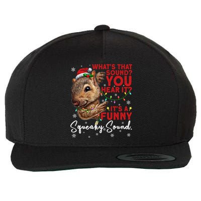 ItS A Funny Squeaky Sound Gift Christmas Squirrel Gift Wool Snapback Cap