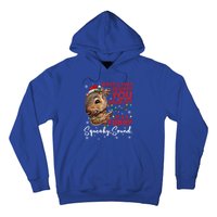 ItS A Funny Squeaky Sound Gift Christmas Squirrel Gift Hoodie