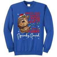 ItS A Funny Squeaky Sound Gift Christmas Squirrel Gift Sweatshirt