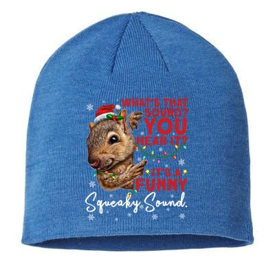 ItS A Funny Squeaky Sound Gift Christmas Squirrel Gift Sustainable Beanie