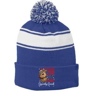 ItS A Funny Squeaky Sound Gift Christmas Squirrel Gift Stripe Pom Pom Beanie