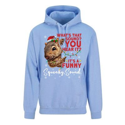 ItS A Funny Squeaky Sound Gift Christmas Squirrel Gift Unisex Surf Hoodie