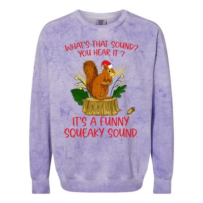 ItS A Funny Squeaky Sound Christmas Squirrel Colorblast Crewneck Sweatshirt